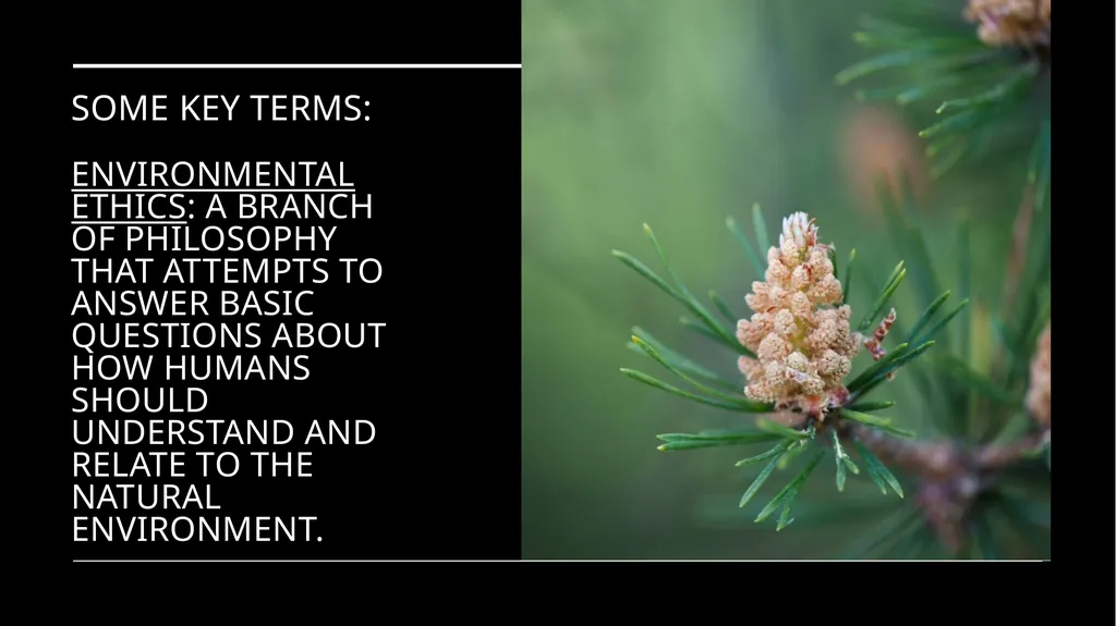 Environmental Ethics: The Central Issues Gregory - slide 5 of 75
