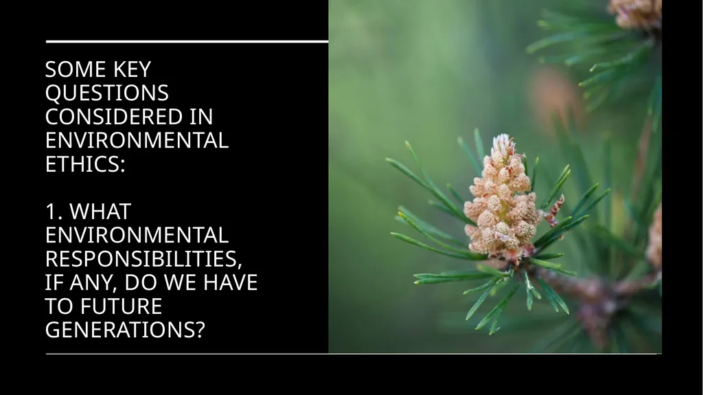 Environmental Ethics: The Central Issues Gregory - slide 6 of 75