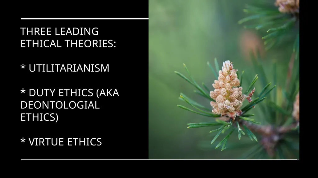 Environmental Ethics: The Central Issues Gregory - slide 34 of 75