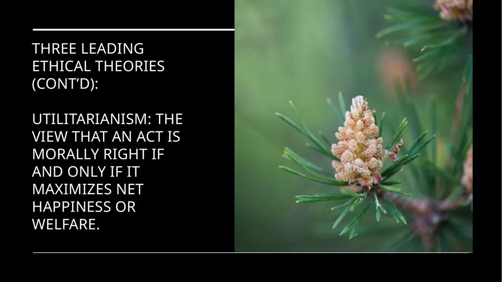 Environmental Ethics: The Central Issues Gregory - slide 35 of 75