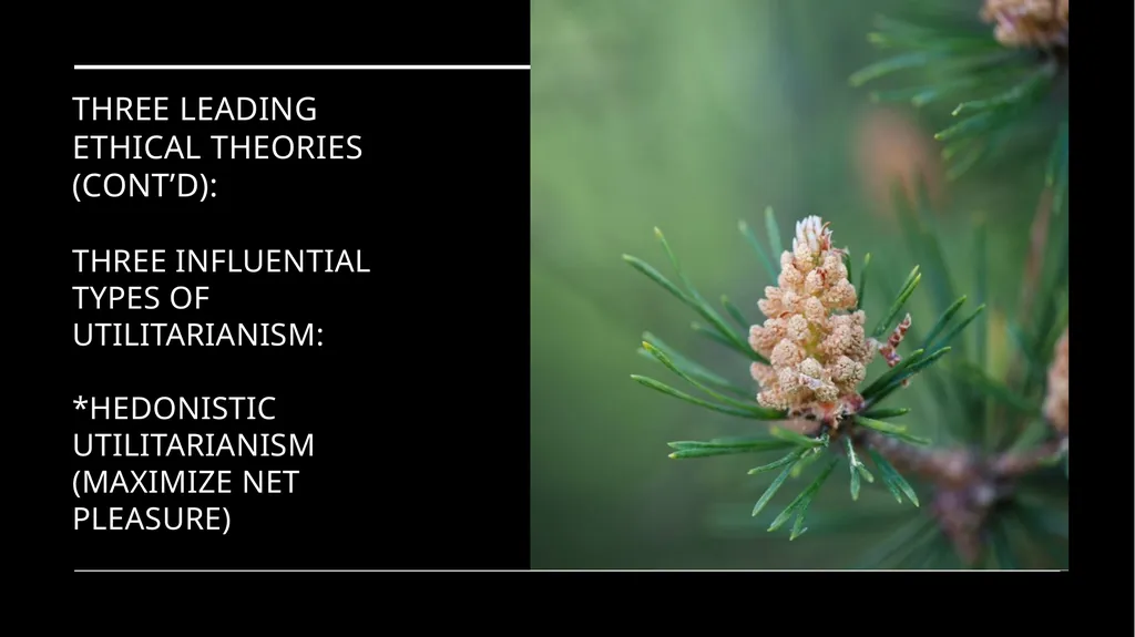 Environmental Ethics: The Central Issues Gregory - slide 36 of 75