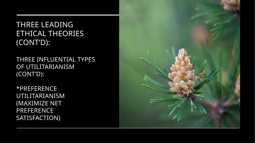 Environmental Ethics: The Central Issues Gregory - slide 37 of 75