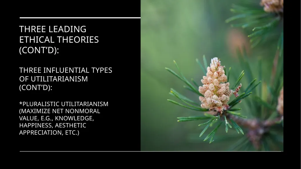 Environmental Ethics: The Central Issues Gregory - slide 38 of 75