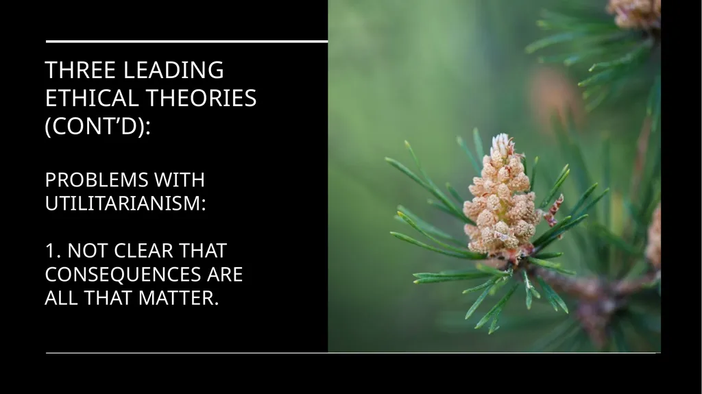 Environmental Ethics: The Central Issues Gregory - slide 39 of 75