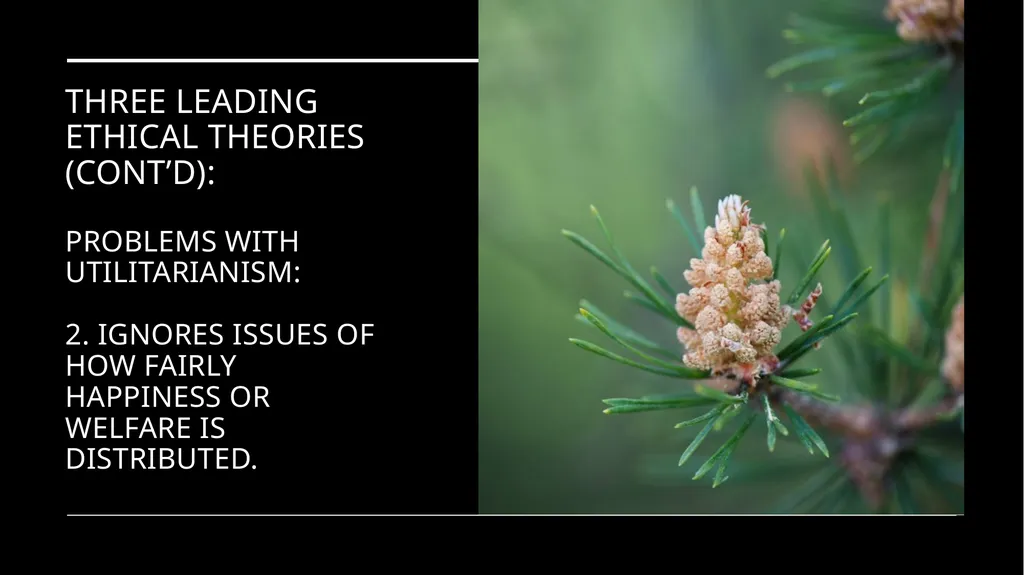 Environmental Ethics: The Central Issues Gregory - slide 40 of 75