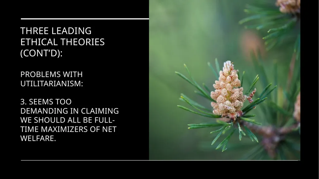 Environmental Ethics: The Central Issues Gregory - slide 41 of 75