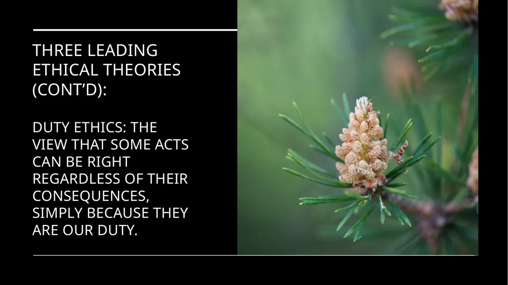 Environmental Ethics: The Central Issues Gregory - slide 42 of 75