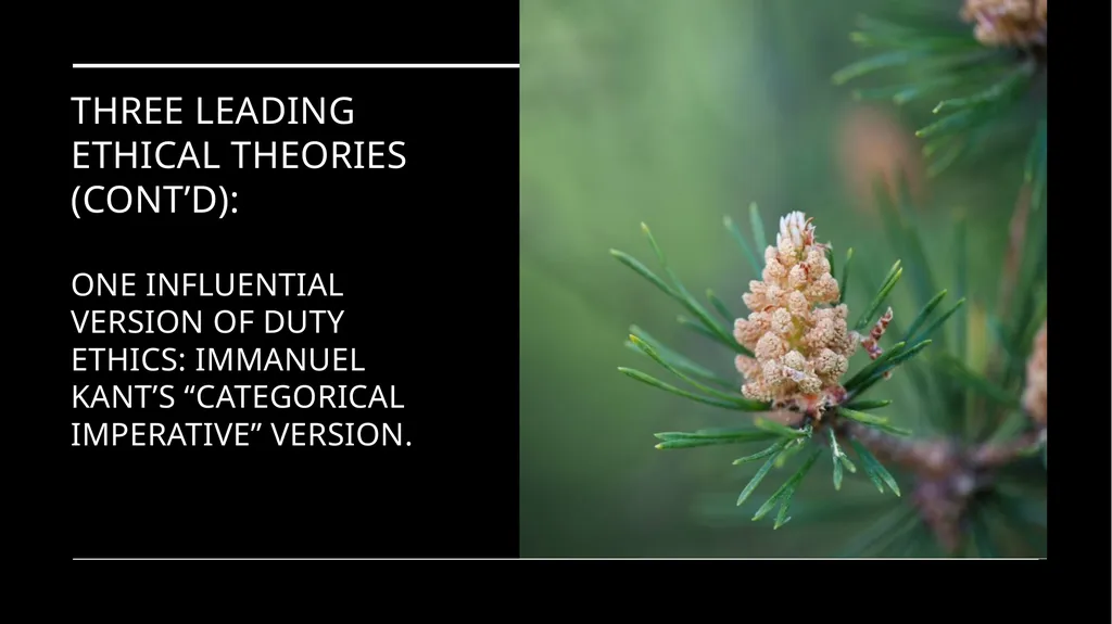 Environmental Ethics: The Central Issues Gregory - slide 43 of 75