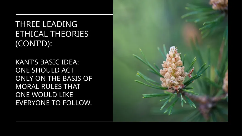 Environmental Ethics: The Central Issues Gregory - slide 44 of 75