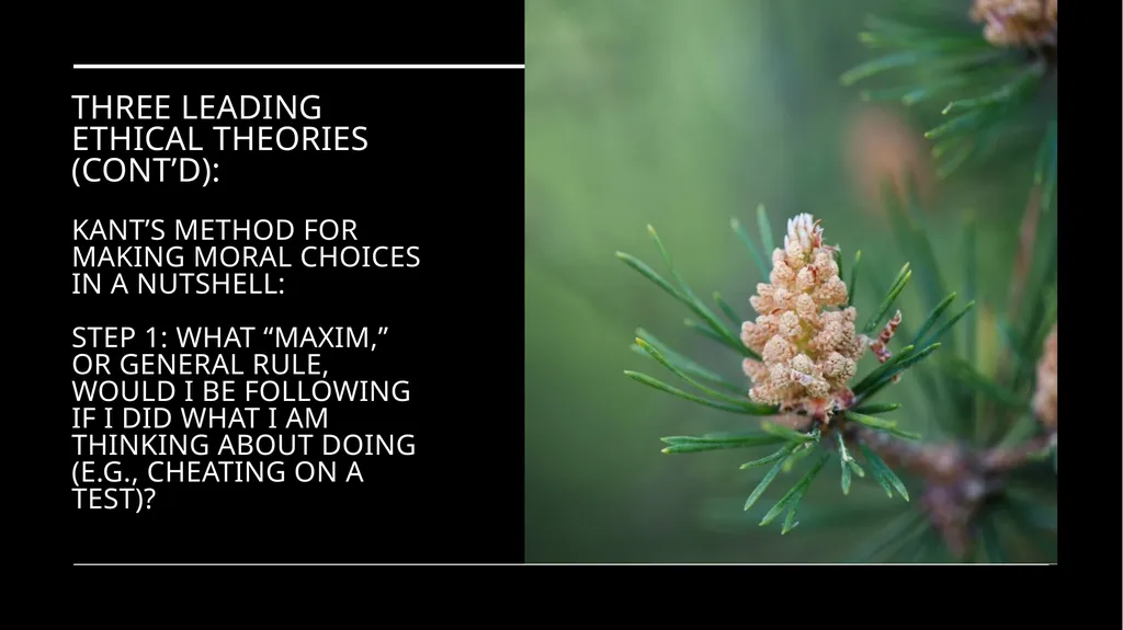 Environmental Ethics: The Central Issues Gregory - slide 45 of 75