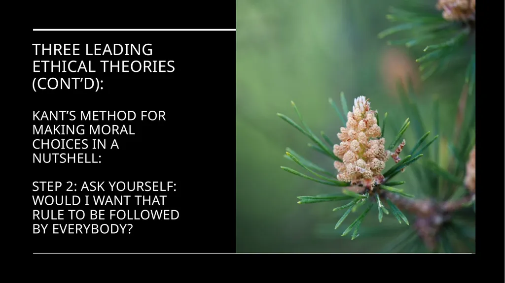 Environmental Ethics: The Central Issues Gregory - slide 46 of 75