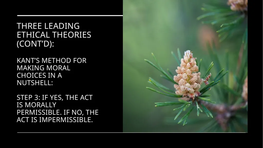 Environmental Ethics: The Central Issues Gregory - slide 47 of 75