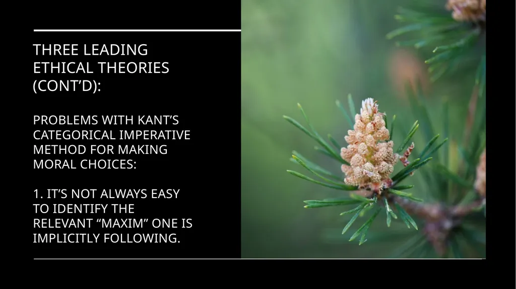 Environmental Ethics: The Central Issues Gregory - slide 48 of 75