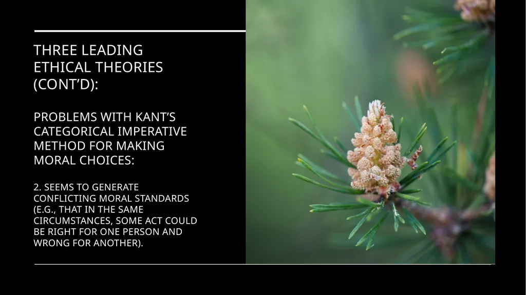 Environmental Ethics: The Central Issues Gregory - slide 49 of 75