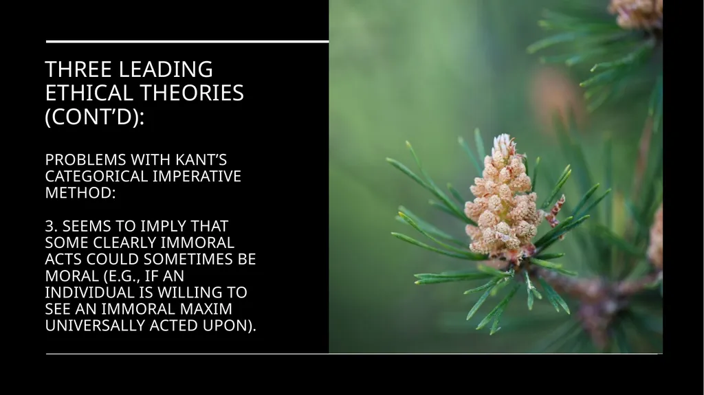 Environmental Ethics: The Central Issues Gregory - slide 50 of 75