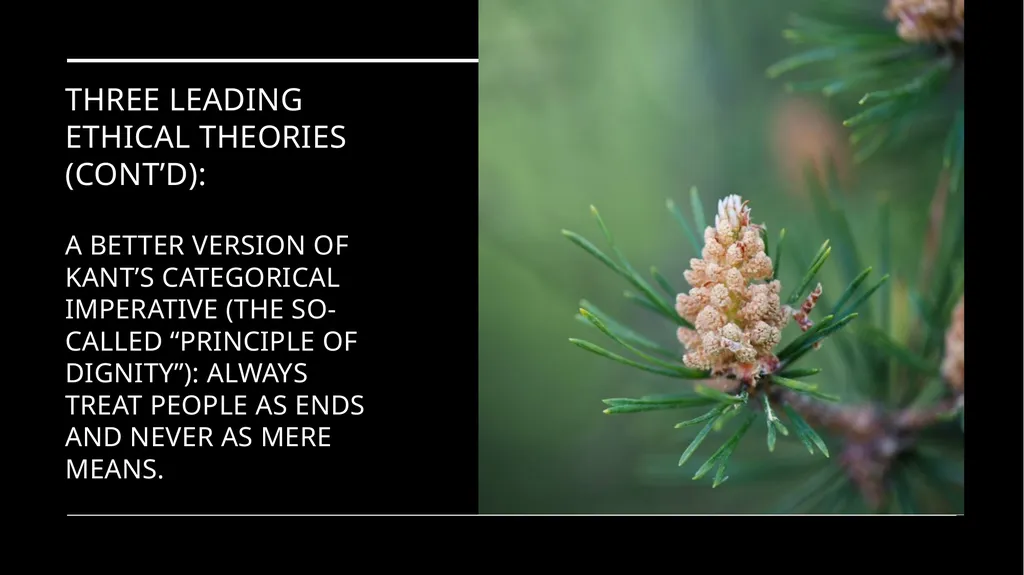 Environmental Ethics: The Central Issues Gregory - slide 51 of 75