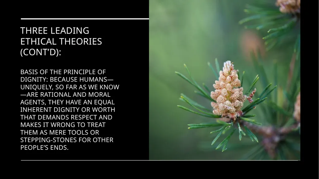 Environmental Ethics: The Central Issues Gregory - slide 52 of 75