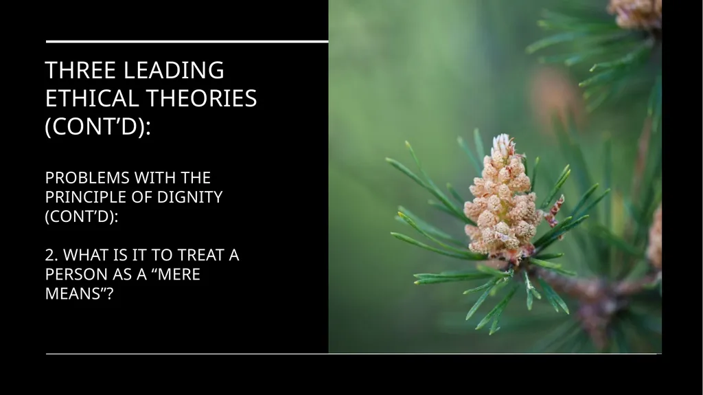 Environmental Ethics: The Central Issues Gregory - slide 54 of 75