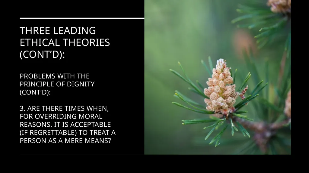 Environmental Ethics: The Central Issues Gregory - slide 55 of 75