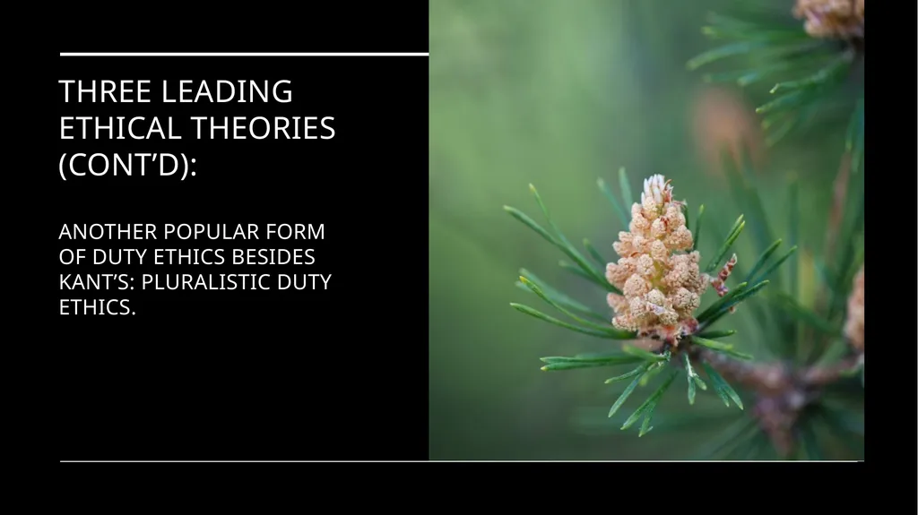 Environmental Ethics: The Central Issues Gregory - slide 56 of 75