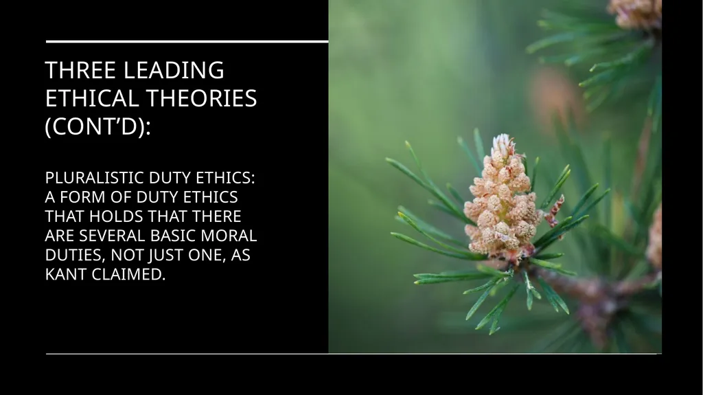 Environmental Ethics: The Central Issues Gregory - slide 57 of 75