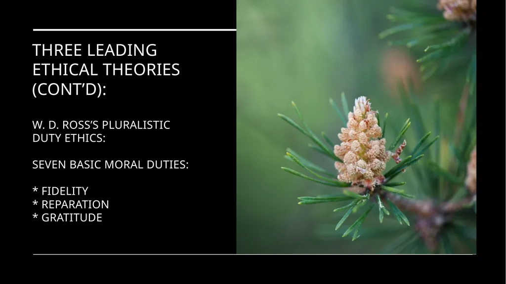 Environmental Ethics: The Central Issues Gregory - slide 58 of 75