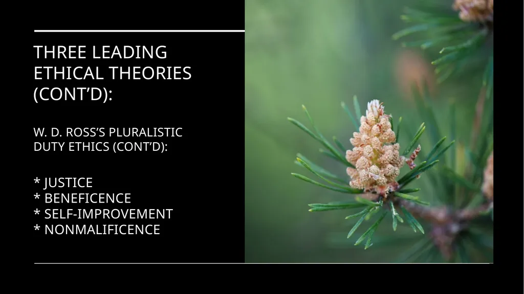 Environmental Ethics: The Central Issues Gregory - slide 59 of 75