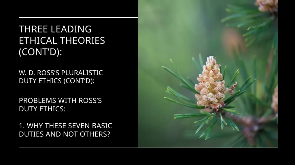 Environmental Ethics: The Central Issues Gregory - slide 60 of 75