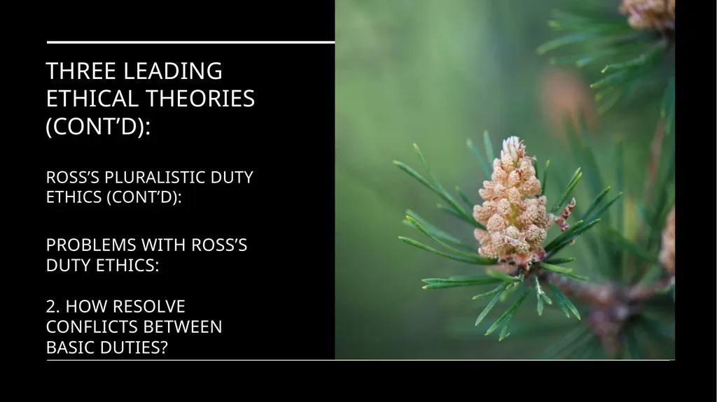 Environmental Ethics: The Central Issues Gregory - slide 61 of 75