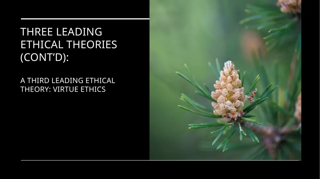 Environmental Ethics: The Central Issues Gregory - slide 62 of 75