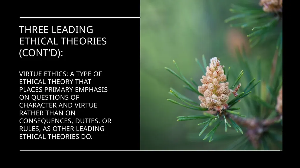 Environmental Ethics: The Central Issues Gregory - slide 63 of 75