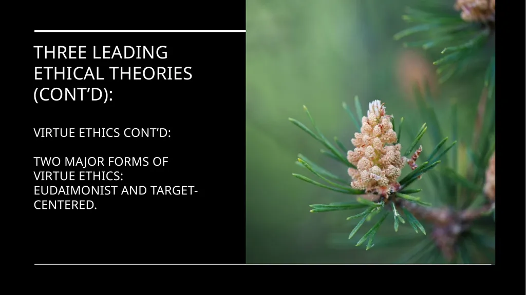 Environmental Ethics: The Central Issues Gregory - slide 64 of 75
