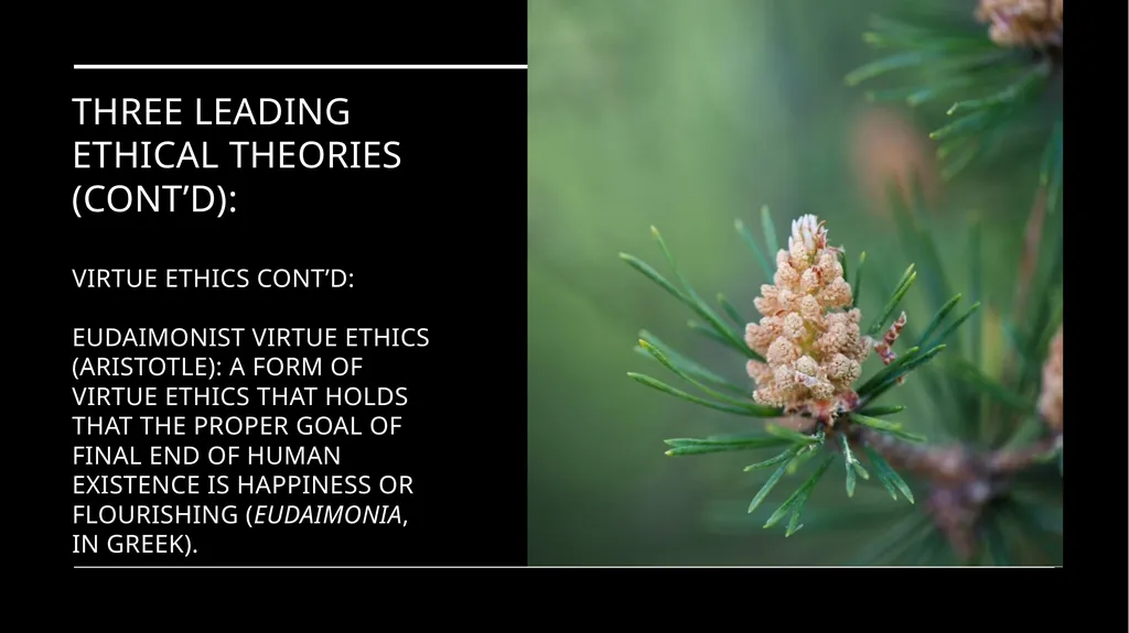 Environmental Ethics: The Central Issues Gregory - slide 65 of 75