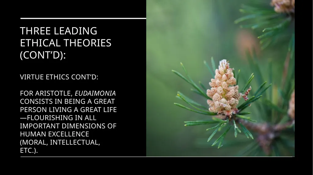 Environmental Ethics: The Central Issues Gregory - slide 66 of 75