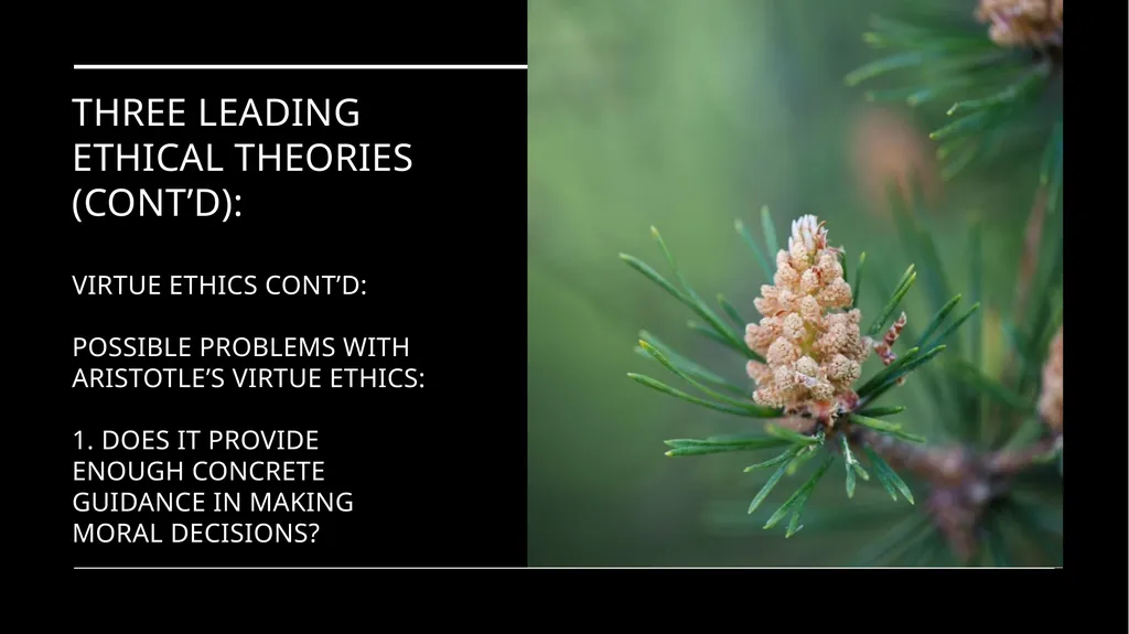Environmental Ethics: The Central Issues Gregory - slide 68 of 75