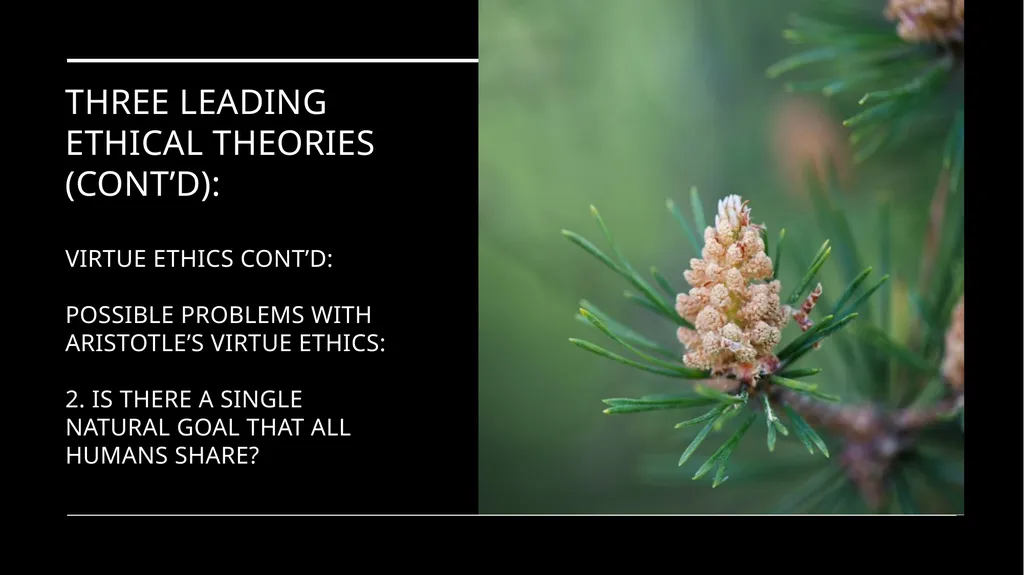 Environmental Ethics: The Central Issues Gregory - slide 69 of 75