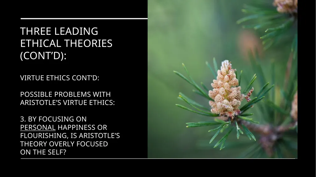 Environmental Ethics: The Central Issues Gregory - slide 70 of 75