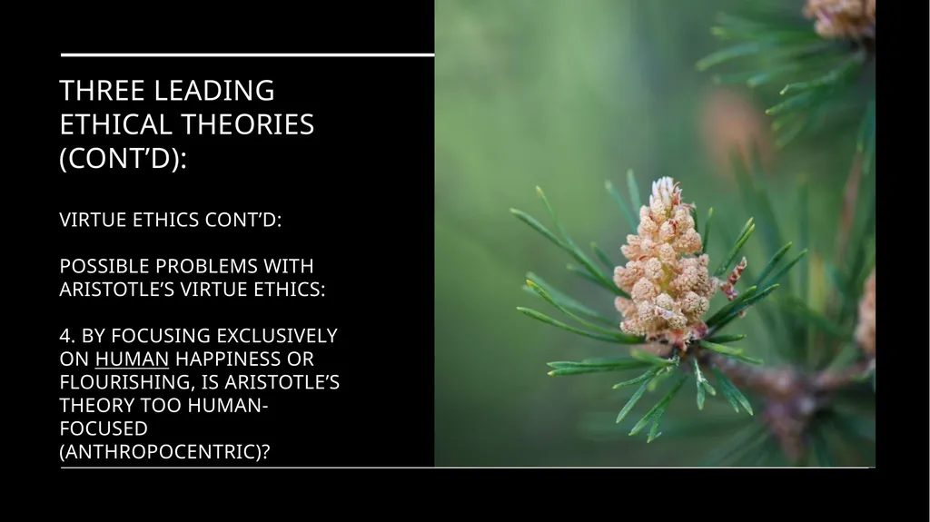 Environmental Ethics: The Central Issues Gregory - slide 71 of 75