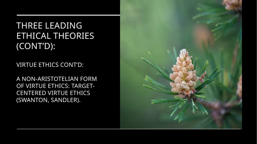 Environmental Ethics: The Central Issues Gregory - slide 72 of 75