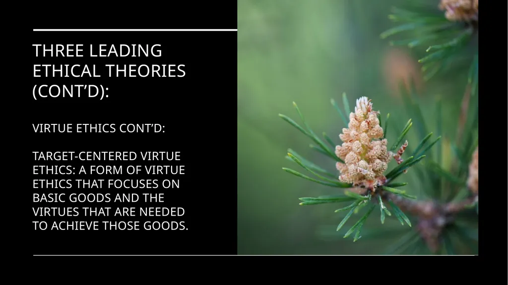 Environmental Ethics: The Central Issues Gregory - slide 73 of 75