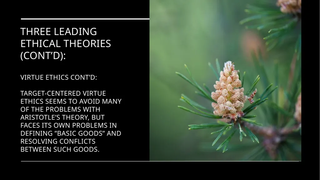 Environmental Ethics: The Central Issues Gregory - slide 74 of 75