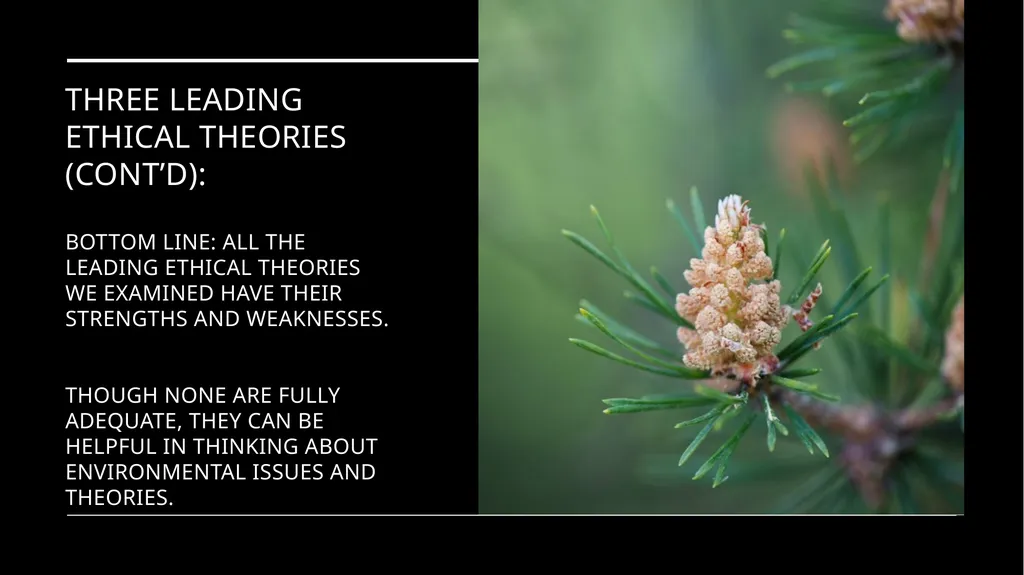 Environmental Ethics: The Central Issues Gregory - slide 75 of 75