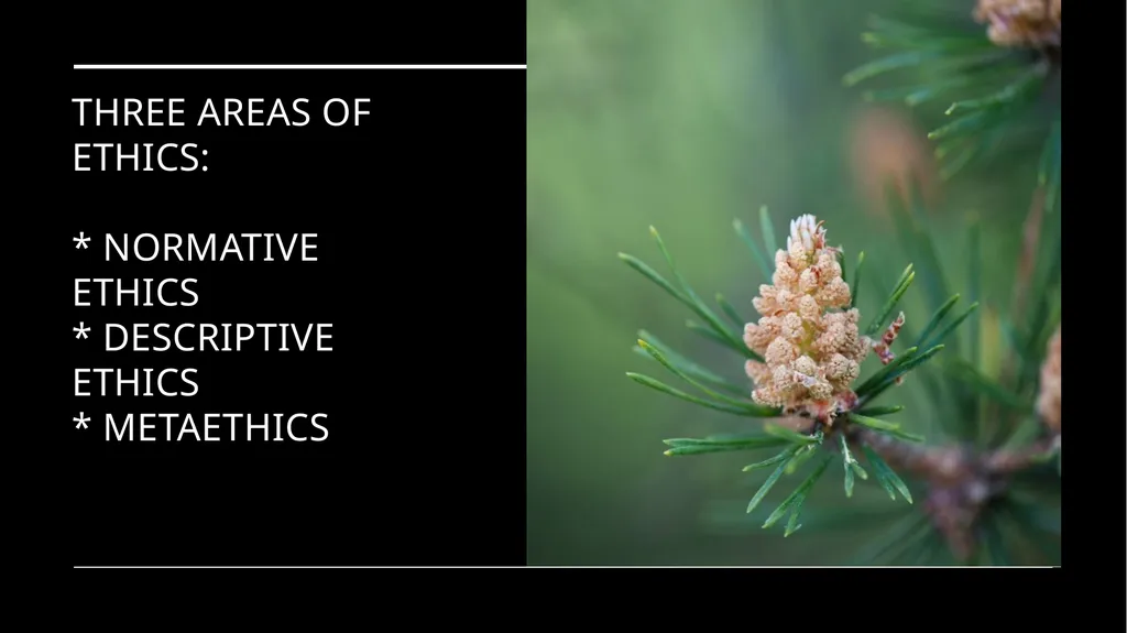 Environmental Ethics: The Central Issues Gregory - slide 18 of 75