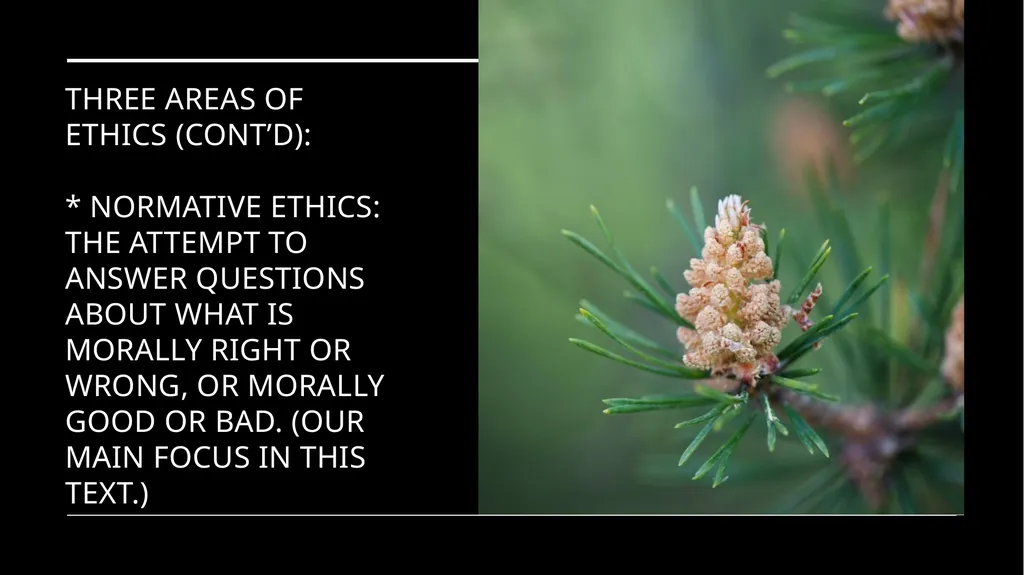 Environmental Ethics: The Central Issues Gregory - slide 19 of 75