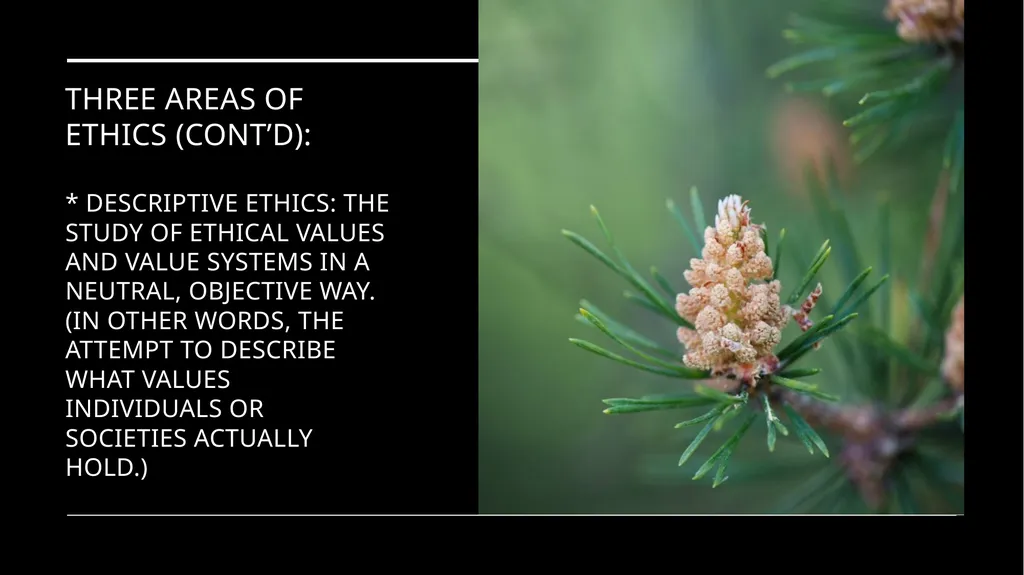 Environmental Ethics: The Central Issues Gregory - slide 20 of 75