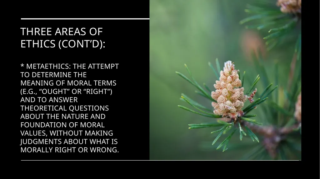 Environmental Ethics: The Central Issues Gregory - slide 21 of 75