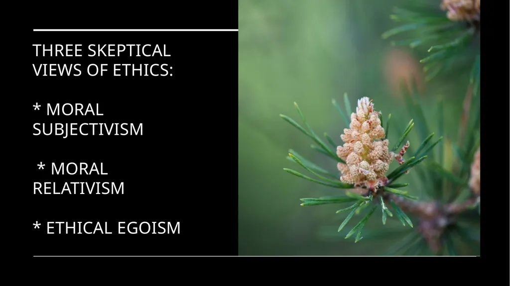 Environmental Ethics: The Central Issues Gregory - slide 22 of 75