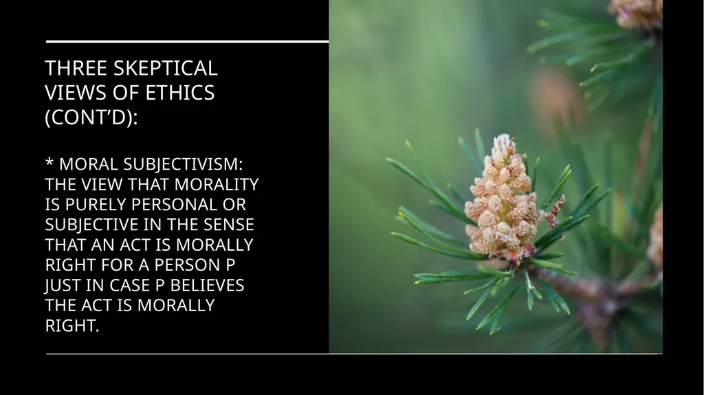 Environmental Ethics: The Central Issues Gregory - slide 23 of 75