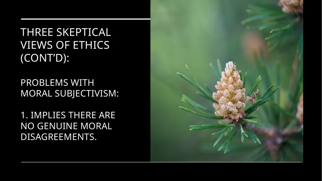 Environmental Ethics: The Central Issues Gregory - slide 24 of 75