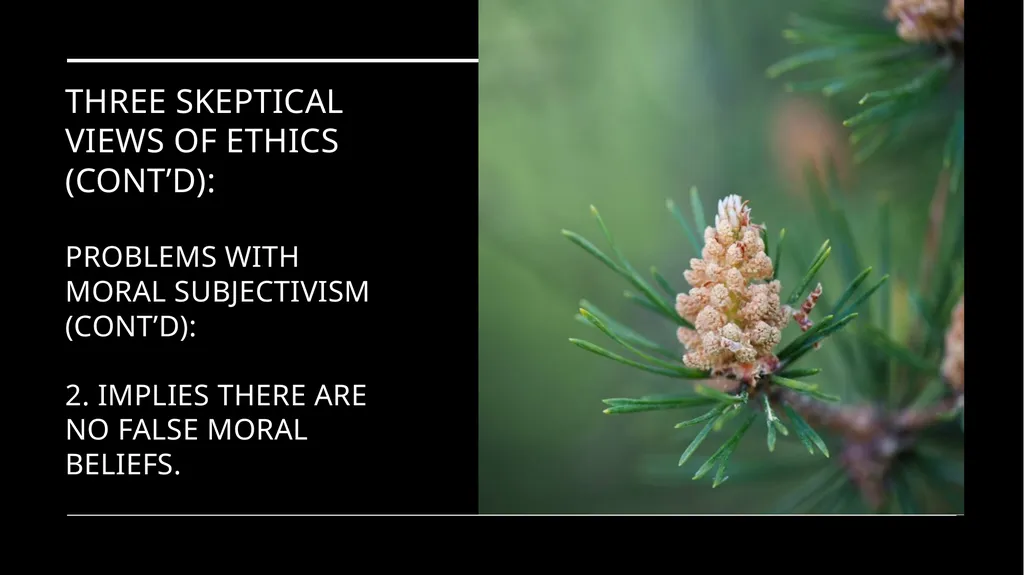 Environmental Ethics: The Central Issues Gregory - slide 25 of 75